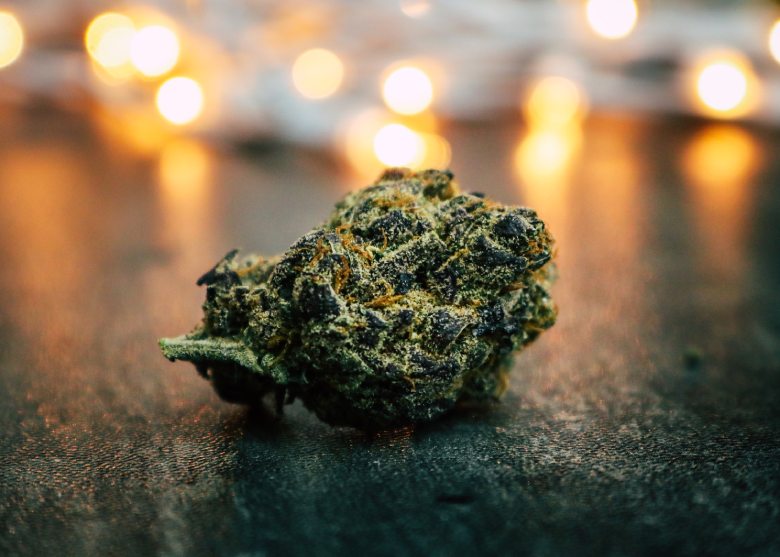 marijuana bud at cannabis cup