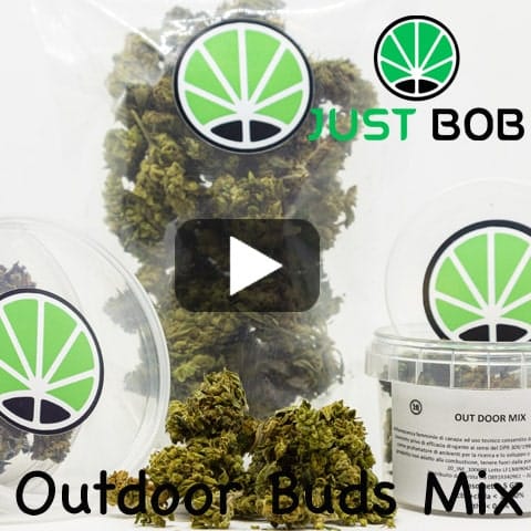 OUTDOOR MIX view 4