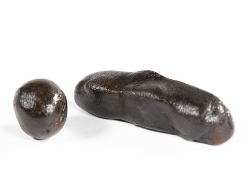Two pieces of CBD Gelato 33 Hashish