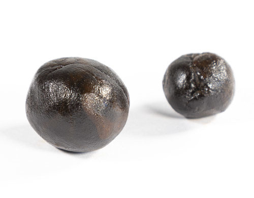 Two pieces of CBD Girl Scout Cookies Hashish