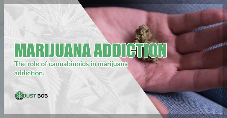 marijuana cbd is not addictive