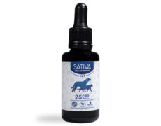 Bottle of CBD Oil for Dogs 30 ml 2.5% - Sativa