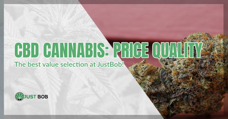 CBD cannabis average price and top quality