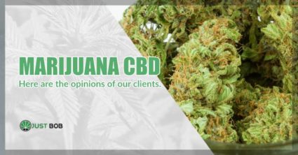 CBD weed uk opinions of clients