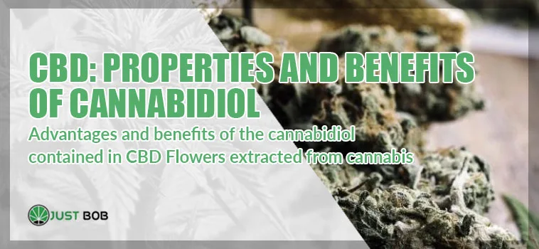 all-you-need-to-know-about-CBD all you need to know about CBD