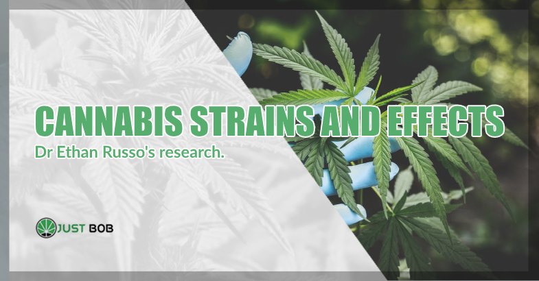 cannabis strains effects Dr Ethan Russo's research