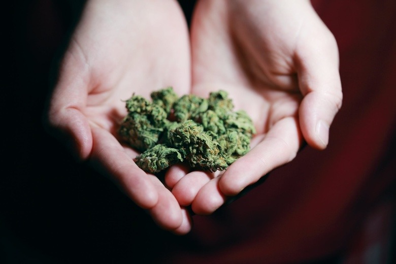 consequences of marijuana prohibition