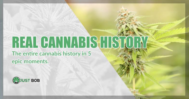 real cannabis history
