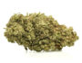 141 Close-up of a CBD flower Zkittles rich in CBG from organic and sustainable cultivation