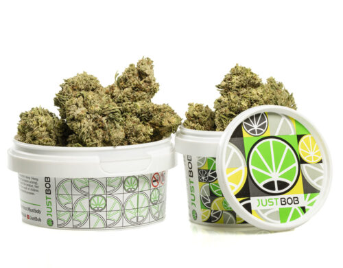 High-quality CBD flower buds in a sealed white container for freshness