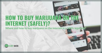 how-buy-marijuana-internet-safely-cop How to buy marijuana on the Internet (safely)?