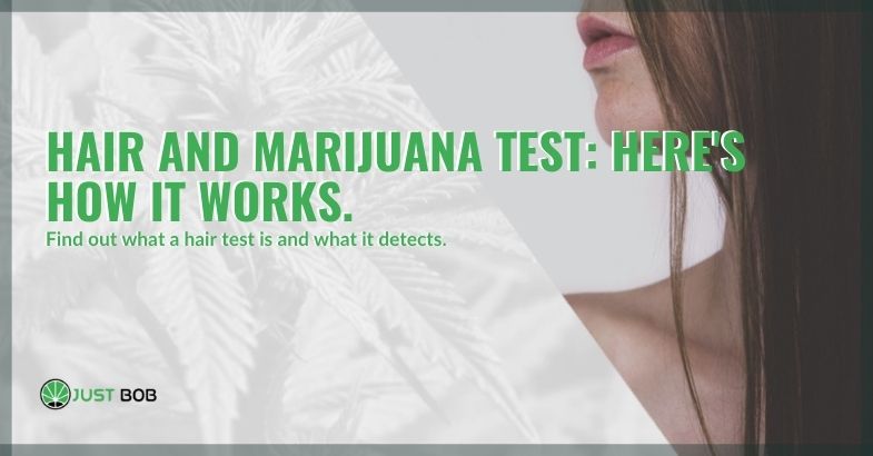 This is how the marijuana hair test works