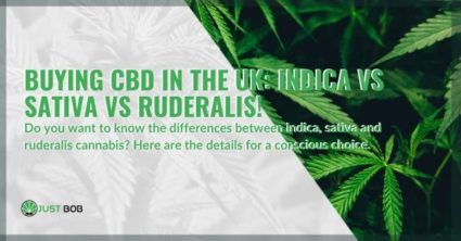 Choosing which CBD cannabis to buy in the UK, between indica, sativa and ruderalis