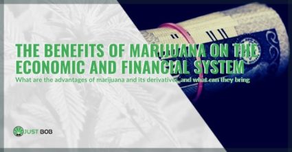 The economic and financial benefits of marijuana, which countries derive where it is legal