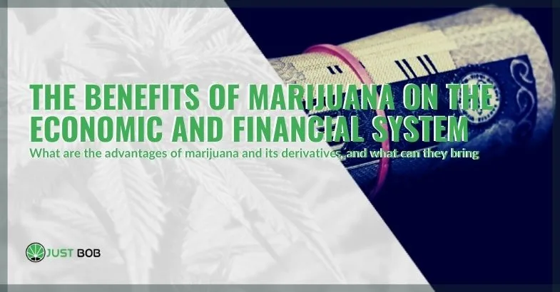 economic-financial-benefits-marijuana-where-it's-legal The economic and financial benefits of marijuana, which countries derive where it is legal