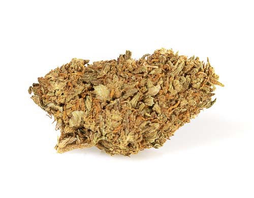 One of the best light hemp strains is Master Kush