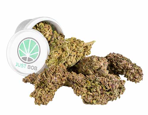 The best legal weed in 2020 is for sure Purple GG # 4