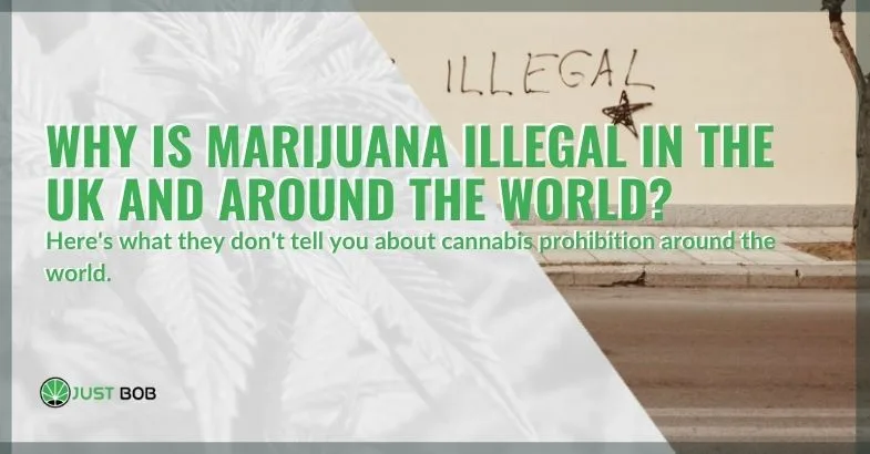 illegal-cannabis-in-the-UK-and-around-the-world Why is cannabis illegal in the UK and around the world?