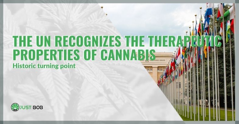 Historic turning point: the UN recognizes the therapeutic properties of cannabis
