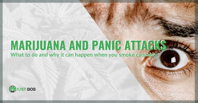 What to do and why a panic attack can happen when you smoke marijuana