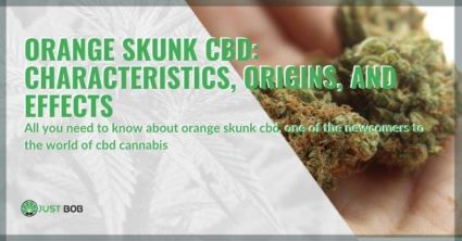 Characteristics, origins and effects of Orange Skunk CBD