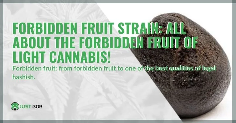 all-about-cannabis-Forbidden-fruit-strain All about legal cannabis Forbidden fruit
