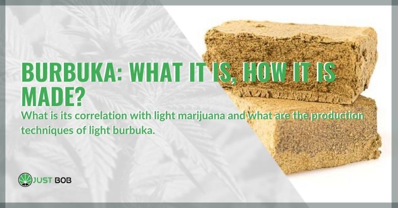 What is the correlation of burbuka with light marijuana?