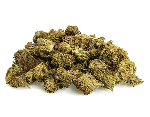 GG#4-cbd-boost-cbd-small-buds