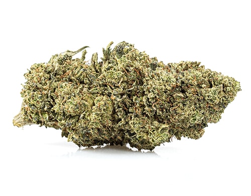 CBD Blüten der Sorte Royal GG#4