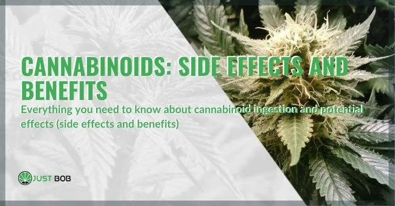 beneficial-side-effects-cannabinoids The benefits and side effects of cannabinoids
