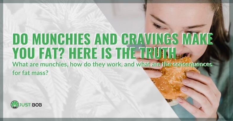 Is it true that snacks and cravings make you fat?