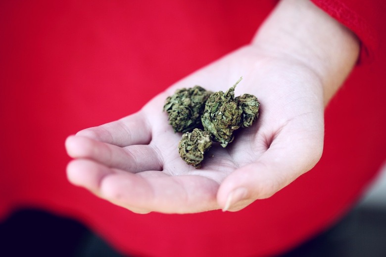 Croatia can make recreational marijuana legal
