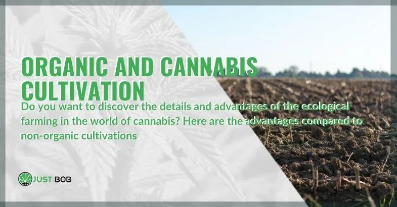 characteristics-benefits-organic-agriculture-cannabis The benefits and characteristics of organic farming in cannabis
