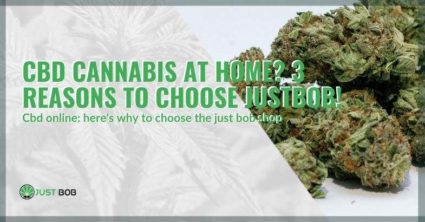 Buying legal marijuana at home: why choose Justbob