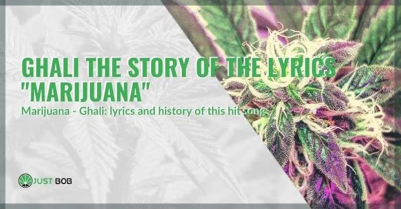 the-story-of-Ghali-marijuana-song Ghali and the story of his song: "Marijuana"