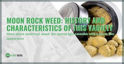 The history and characteristics of the Moonrock Weed variety