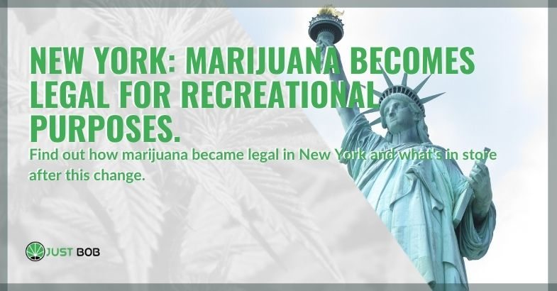 In New York, marijuana has become legal for recreational purposes.