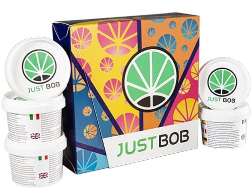 kit gold Back2Work with 5 genetics of CBD bud