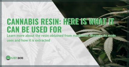 The main uses of cannabis resin