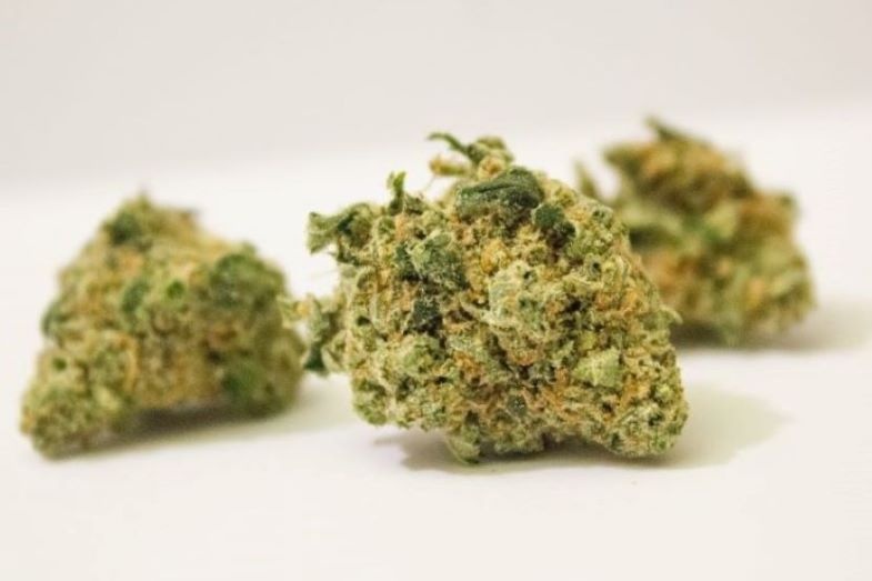 Best Legal Weed Ranking: Gorilla Glue