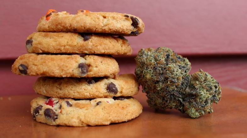 Hemp biscuits for food use