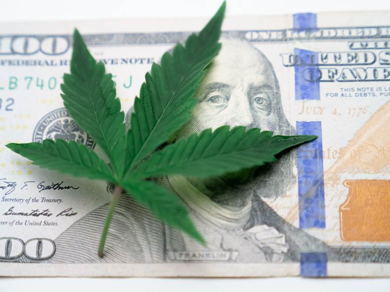 Legalizing cannabis would bring more tax revenue