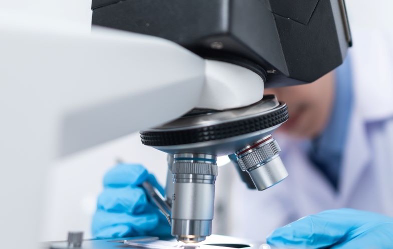 Microscope to examine non-ripening trichomes