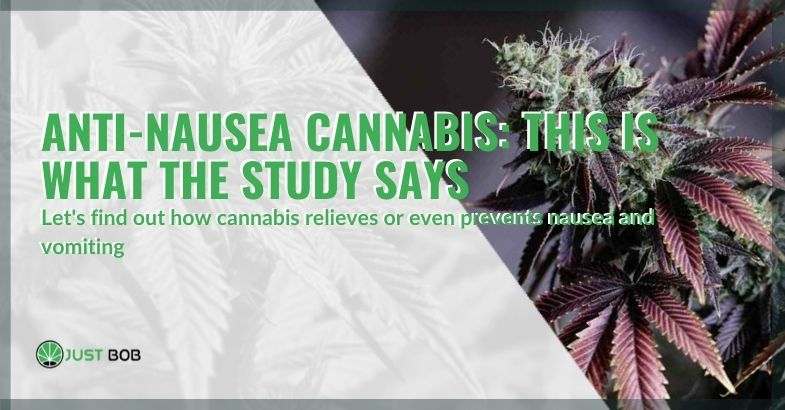 Cannabis to relieve and prevent nausea and vomiting