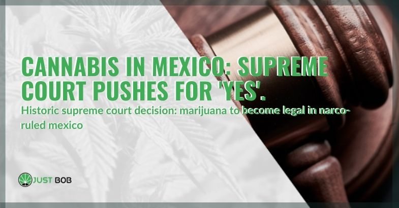 Marijuana will become legal in narcos Mexico