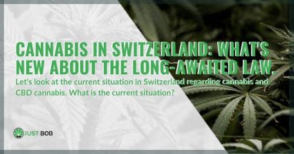 Let's see what the current situation in Switzerland is regarding cannabis light