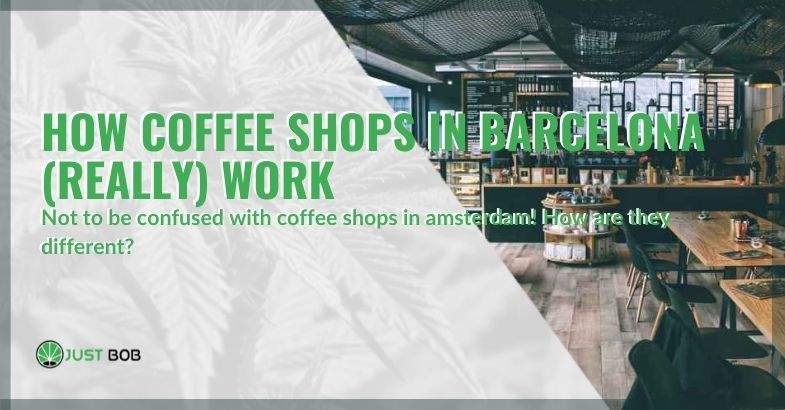 How are the coffee shops in Barcelona different from the coffeeshops in Amsterdam?