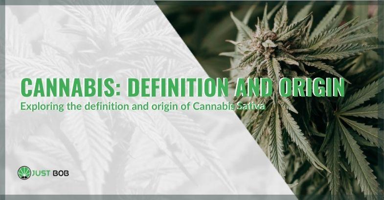 Insight into cannabis Sativa: definition and origins