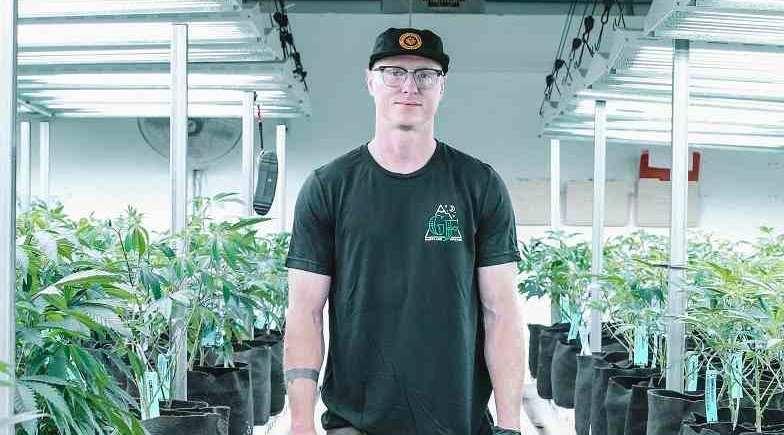 A grower member of the Cannabis social club