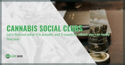 Cannabis social club: let's find out what it really is